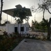 Caseta señoritos (15)